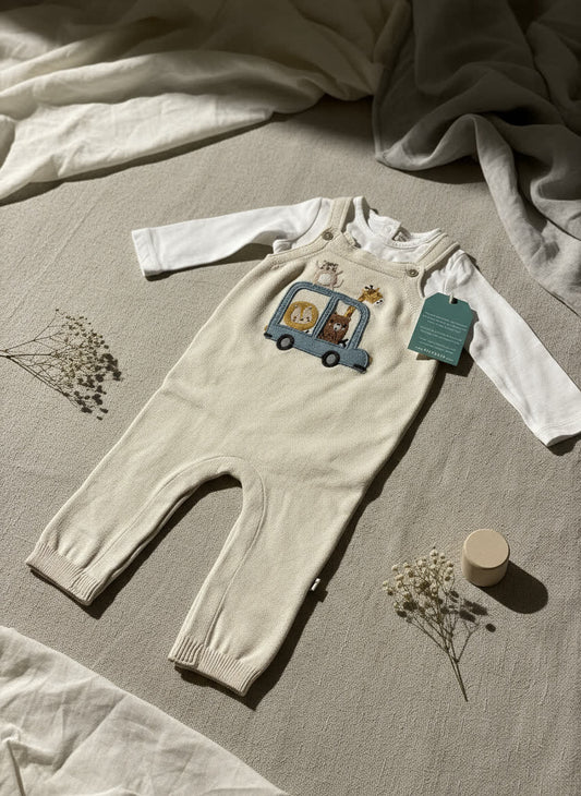Baby dungaree with a graphic design on a mannequin against a neutral background