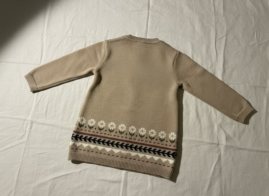 Brown knit dress with a patterned hem on a beige background